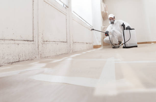 24/7 Emergency Commercial Mold Remediation experts in Chester, PA