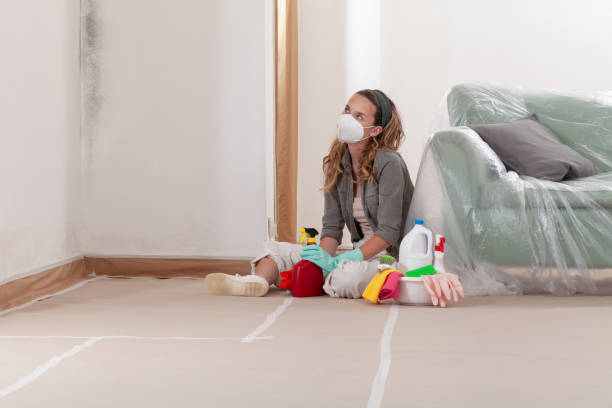 Trusted Black Mold Removal service in Chester, PA - Cheap Mold Removal